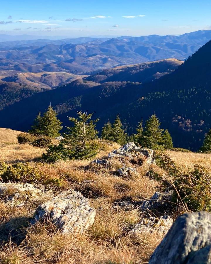 Ivkovic Spa Milmari N16 Kopaonik Luaran gambar