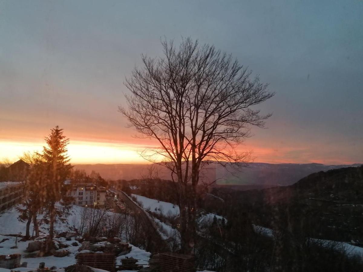 Ivkovic Spa Milmari N16 Kopaonik Luaran gambar