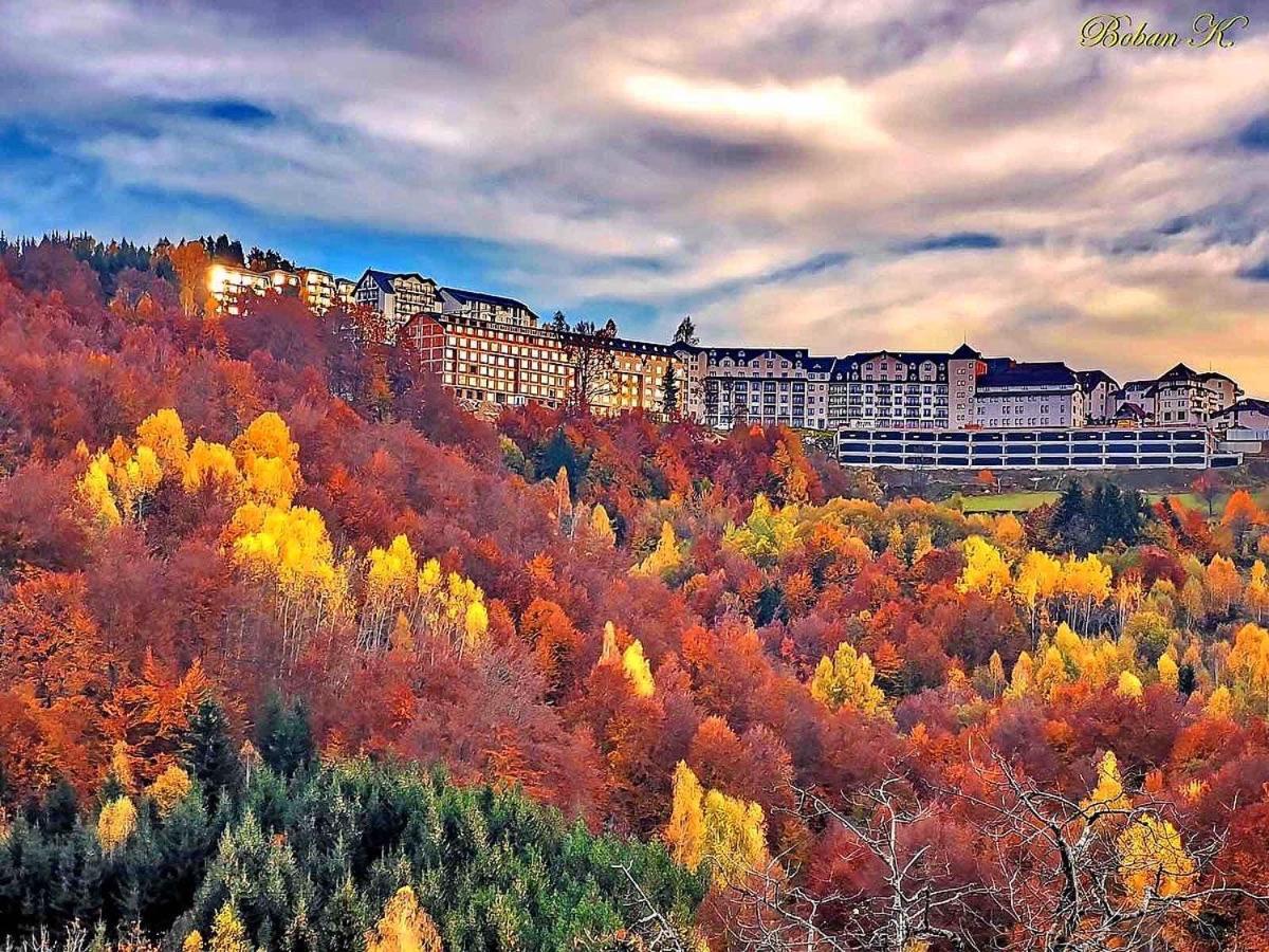 Ivkovic Spa Milmari N16 Kopaonik Luaran gambar