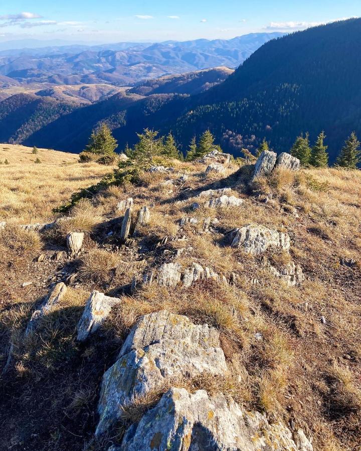 Ivkovic Spa Milmari N16 Kopaonik Luaran gambar
