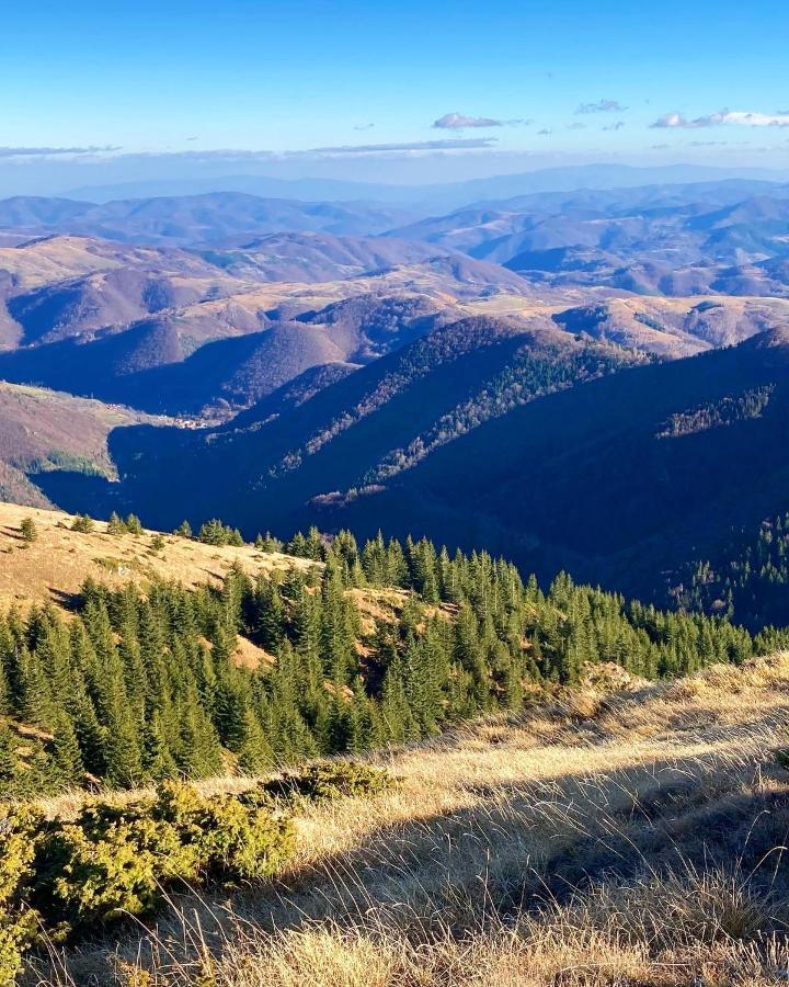 Ivkovic Spa Milmari N16 Kopaonik Luaran gambar