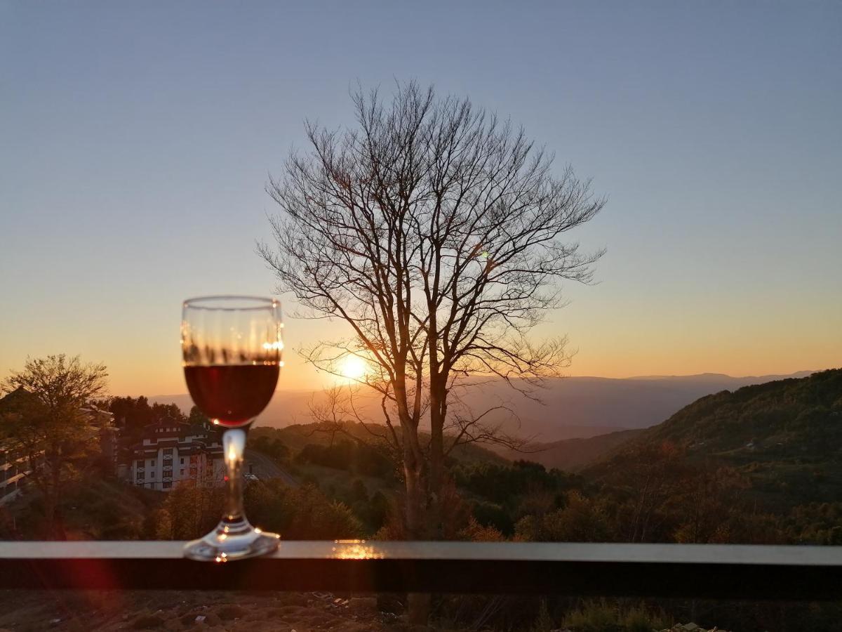 Ivkovic Spa Milmari N16 Kopaonik Luaran gambar